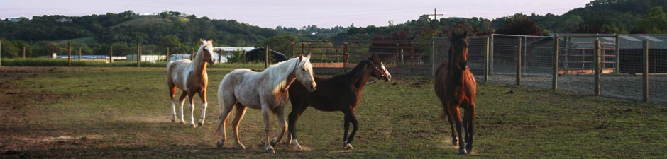 Campana Ranch